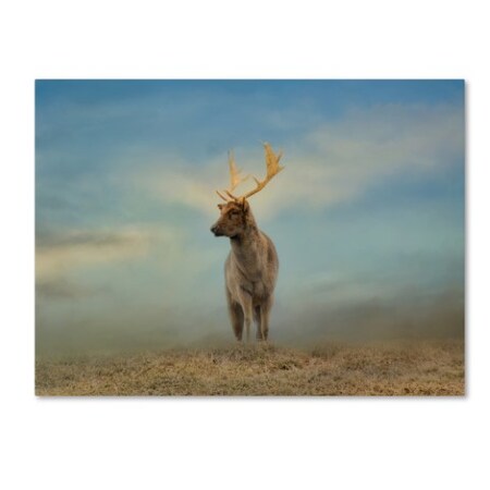 Trademark Fine Art